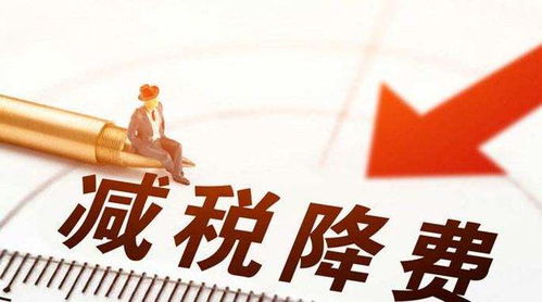 一般纳税人这8个常识,会计出错,小心给自己惹麻烦